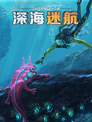 便宜又是品牌的鞋子